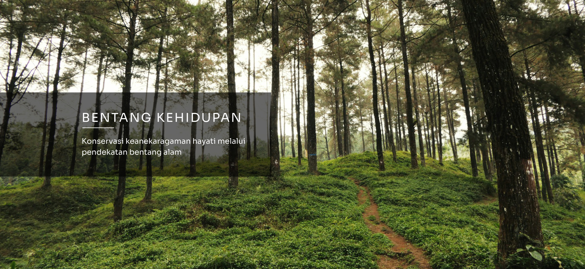 https://fierisgroup.com/public/content-image/homepage/carousel/qI1Bentang Kehidupan.jpg